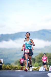 BIB: 
                            <button type="button" onclick="openModal(26542603)" class="btn btn-primary btn-sm float-right btn-popup" data-toggle="modal" data-target=".modal-high-quality">
                        <i class="fas fa-shopping-cart"></i> Add to Cart
                    </button>
                                            <button type="button" onclick="isThisMe(26542603, true)" class="btn btn-success btn-sm float-right btn-popup btn-isme hidden" data-toggle="tooltip" data-placement="bottom" title="นี่คือรูปของคุณใช่ไหม คลิกที่นี่เพื่อเอาเข้าอัลบั้ม">
                        <i class="fas fa-plus"></i> Add to album
                    </button>
                    <button type="button" onclick="isThisMe(26542603, false)" class="btn btn-warning btn-sm float-right btn-popup btn-isnotme hidden">
                        <i class="fas fa-ban"></i> Remove from album
                    </button>